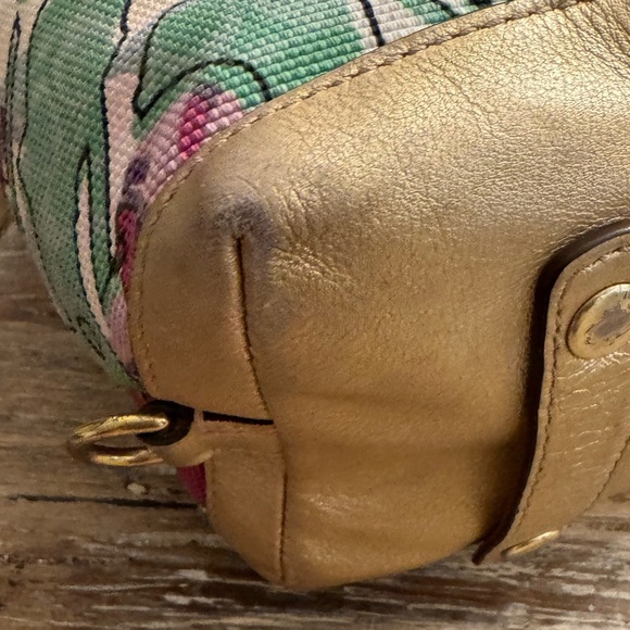 Coach Ashley - Picture 10 of 16